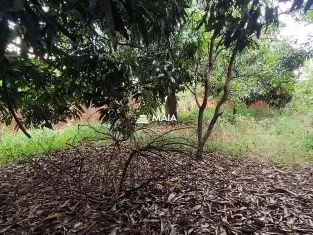 Terreno venda em Região Geográfica Imediata de Varginha, Varginha