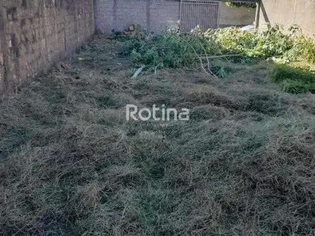 Terreno venda em Região Geográfica Imediata de Uberlândia, Oliveira Fortes