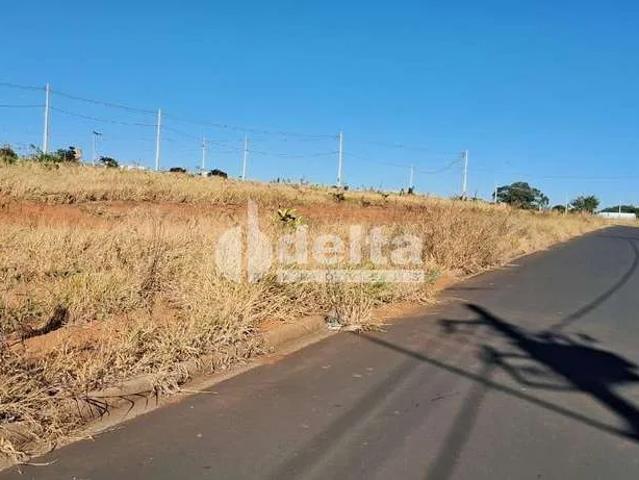 Terreno venda em Setor Norte, Uberlândia