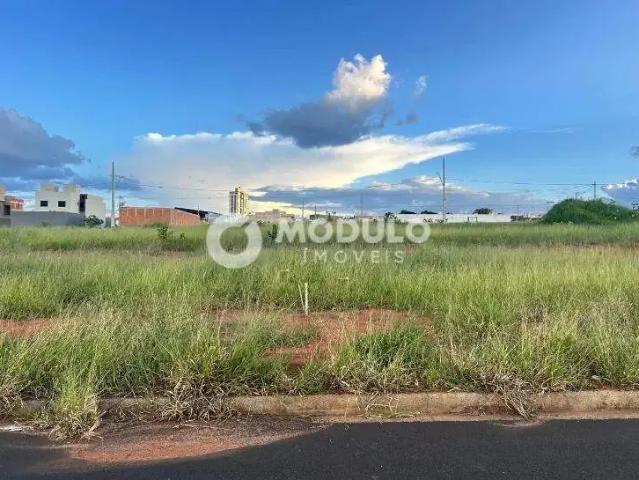 Terreno venda em Região Geográfica Imediata de Uberlândia, Oliveira Fortes