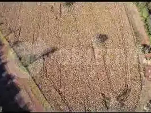 Terreno venda em Região Geográfica Imediata de Uberlândia, Oliveira Fortes