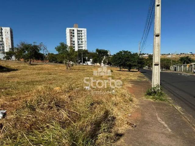 Terreno venda em Região Geográfica Imediata de Uberlândia, Oliveira Fortes