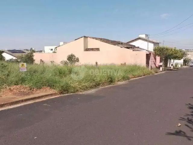 Terreno venda em Região Geográfica Imediata de Uberlândia, Oliveira Fortes
