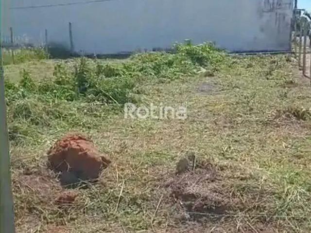 Terreno venda em Região Geográfica Imediata de Uberlândia, Oliveira Fortes