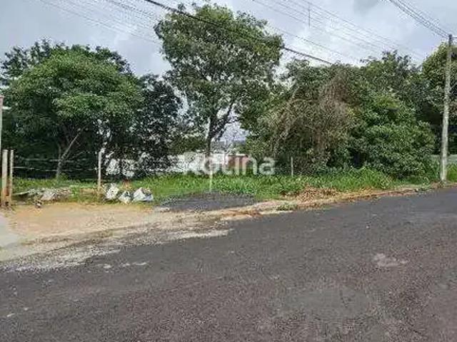 Terreno venda em Região Geográfica Imediata de Uberlândia, Oliveira Fortes