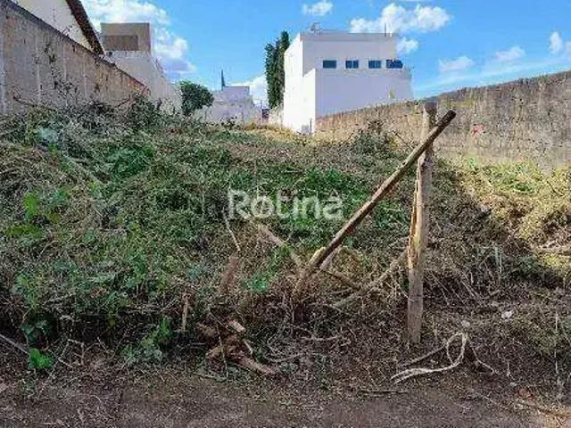 Terreno venda em Região Geográfica Imediata de Uberlândia, Oliveira Fortes