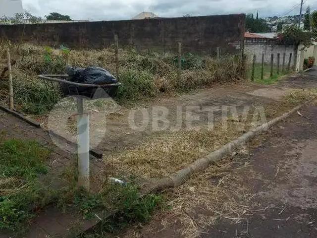 Terreno venda em Região Geográfica Imediata de Uberlândia, Oliveira Fortes