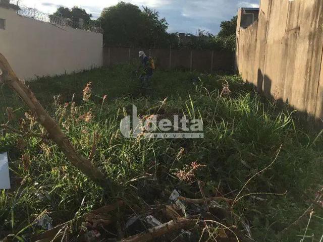 Terreno venda em Custódio Pereira, Uberlândia