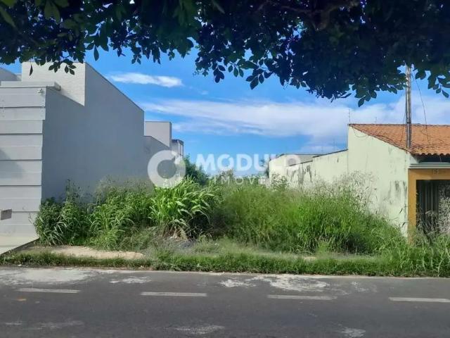 Terreno venda em Custódio Pereira, Uberlândia