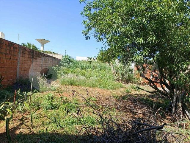 Terreno venda em Custódio Pereira, Uberlândia