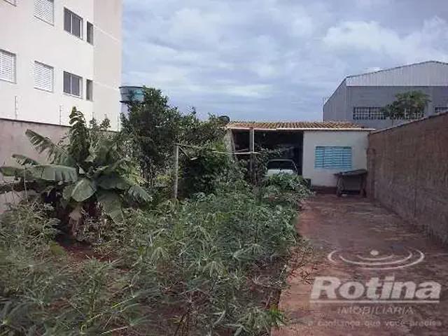 Terreno venda em Região Geográfica Imediata de Uberlândia, Oliveira Fortes