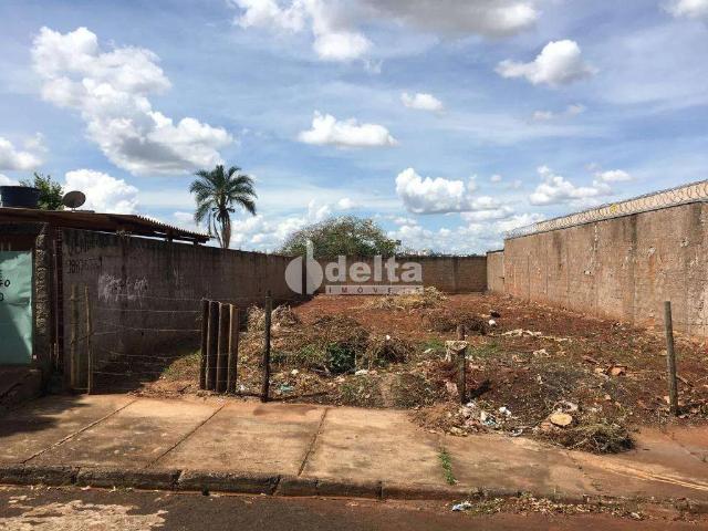 Terreno venda em Dona Zulmira, Uberlândia