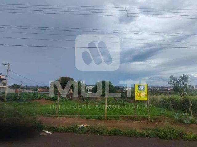 Terreno venda em Dona Zulmira, Uberlândia