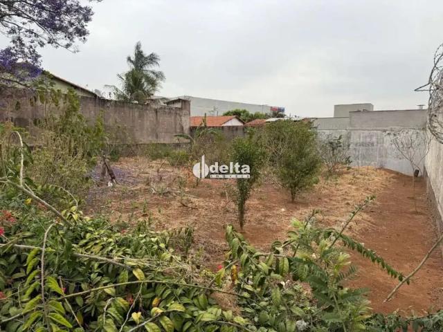 Terreno venda em Região Geográfica Imediata de Uberlândia, Oliveira Fortes