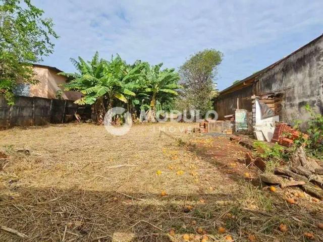 Terreno venda em Região Geográfica Imediata de Uberlândia, Oliveira Fortes