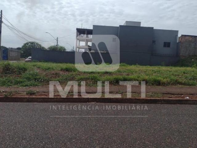 Terreno venda em Setor Norte, Uberlândia
