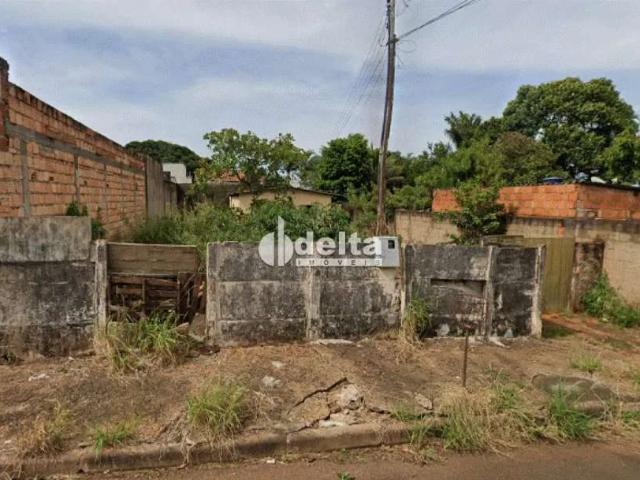 Terreno venda em Setor Norte, Uberlândia
