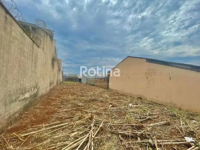 Terreno venda em Região Geográfica Imediata de Uberlândia, Oliveira Fortes
