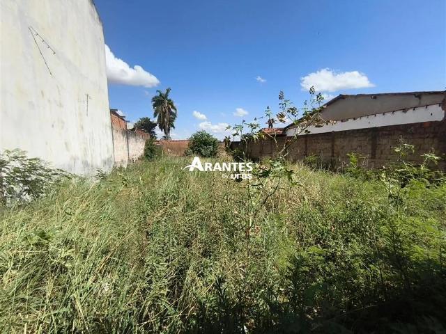 Terreno venda em Setor Norte, Uberlândia