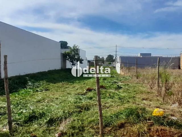 Terreno venda em São Bento, Uberlândia