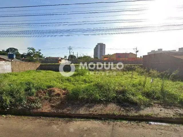 Terreno venda em Região Geográfica Imediata de Uberlândia, Oliveira Fortes