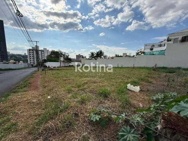 Terreno venda em Região Geográfica Imediata de Uberlândia, Oliveira Fortes