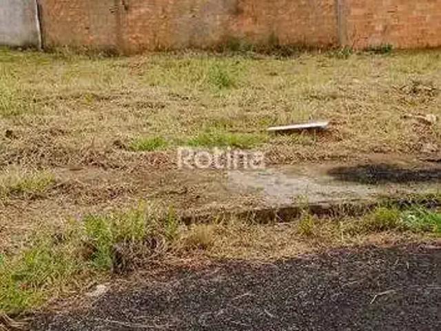 Terreno venda em Região Geográfica Imediata de Uberlândia, Oliveira Fortes