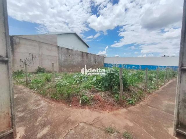 Terreno venda em Jardim Europa, Uberlândia