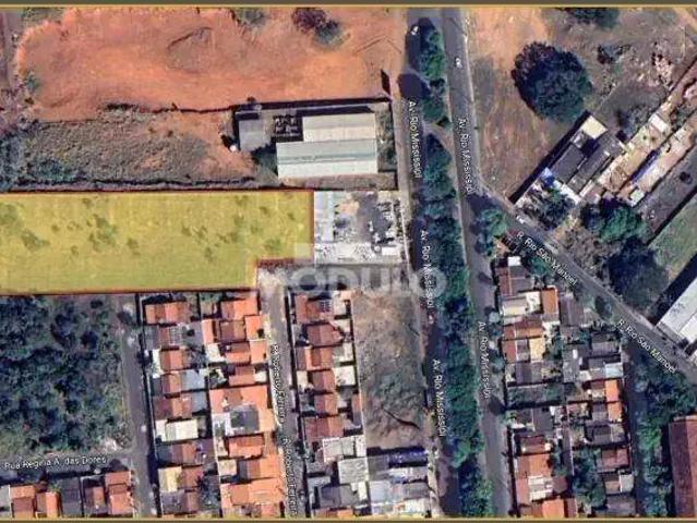 Terreno venda em Região Geográfica Imediata de Uberlândia, Oliveira Fortes