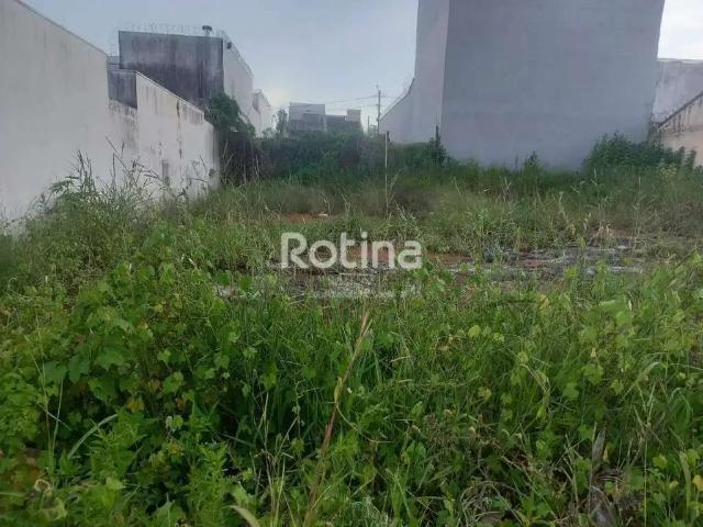 Terreno venda em Região Geográfica Imediata de Uberlândia, Oliveira Fortes