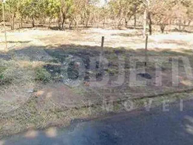 Terreno venda em Região Geográfica Imediata de Uberlândia, Oliveira Fortes