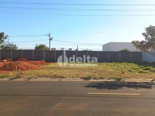Terreno venda em Jardim Holanda, Uberlândia