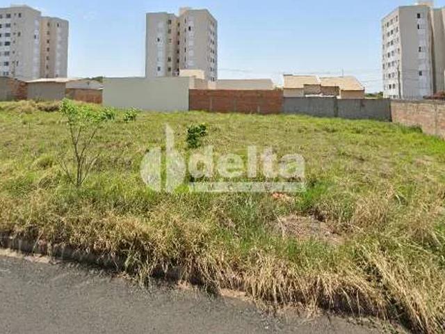 Terreno venda em Jardim Holanda, Uberlândia
