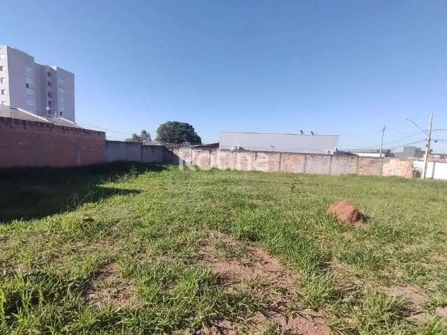 Terreno venda em Região Geográfica Imediata de Uberlândia, Oliveira Fortes