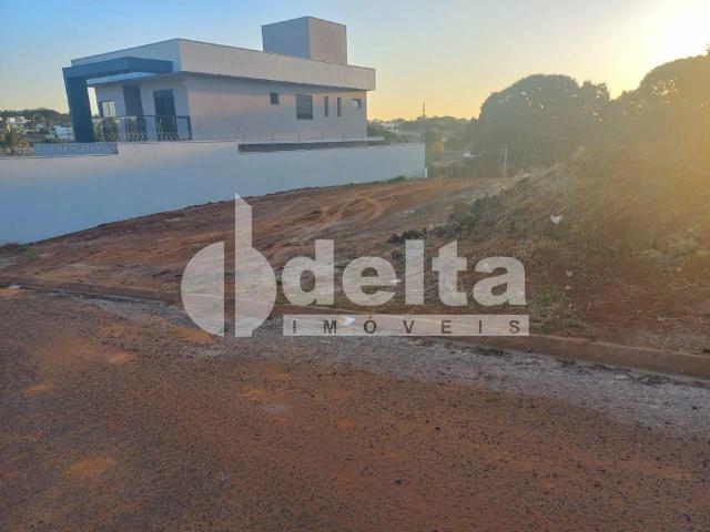 Terreno venda em Setor Sul, Uberlândia
