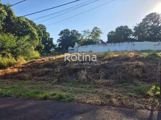 Terreno venda em Região Geográfica Imediata de Uberlândia, Oliveira Fortes