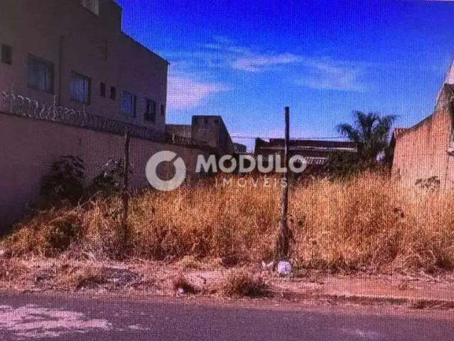 Terreno venda em Região Geográfica Imediata de Uberlândia, Oliveira Fortes