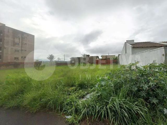 Terreno venda em Região Geográfica Imediata de Uberlândia, Oliveira Fortes