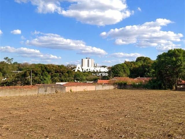 Terreno venda em Dona Zulmira, Uberlândia