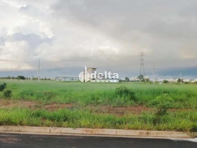 Terreno venda em Bem Viver Sul, Uberlândia