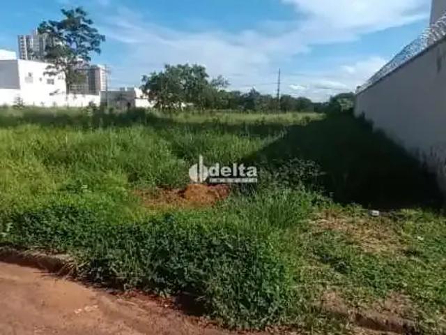 Terreno venda em Setor Sul, Uberlândia