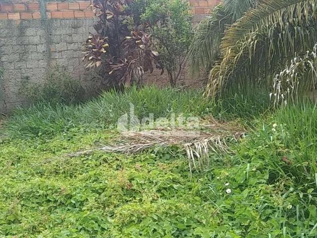 Terreno venda em Setor Sul, Uberlândia