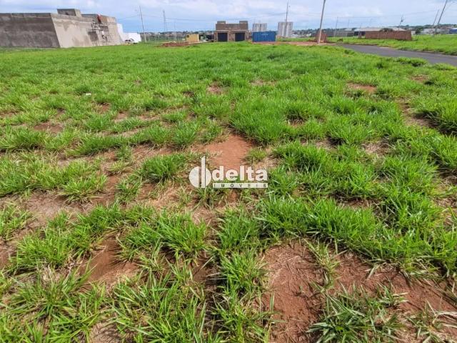 Terreno venda em Setor Sul, Uberlândia