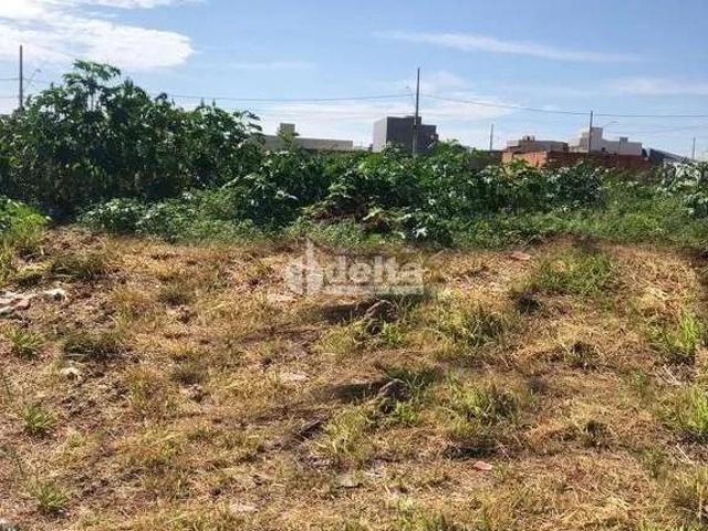Terreno venda em Setor Sul, Uberlândia