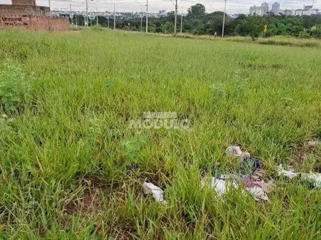 Terreno venda em Região Geográfica Imediata de Uberlândia, Oliveira Fortes
