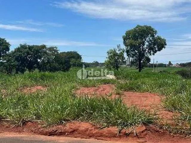 Terreno venda em Luizote IV, Uberlândia