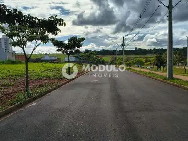 Terreno venda em Região Geográfica Imediata de Uberlândia, Oliveira Fortes