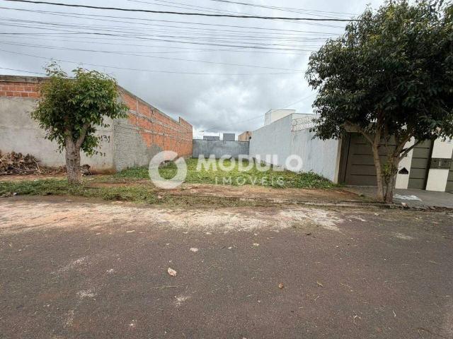 Terreno venda em Mansões Aeroporto, Uberlândia