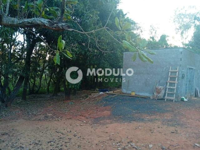 Terreno venda em Miraporanga, Uberlândia