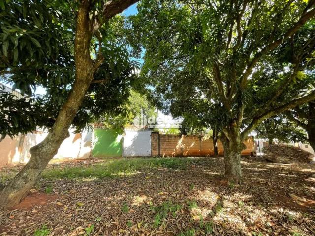 Terreno venda em Morumbi, Uberlândia